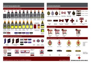 Plakat Dienstgradabzeichen>