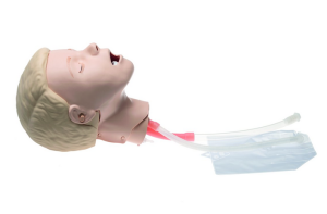 Resusci Junior Airway Kopf>
