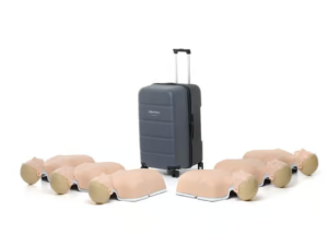 Little Anne 6er Paket, QCPR fähig>
